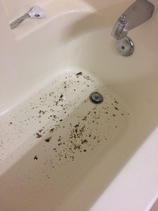 Apartment Bathroom Sink Backing Up, Bathtub Backing Up