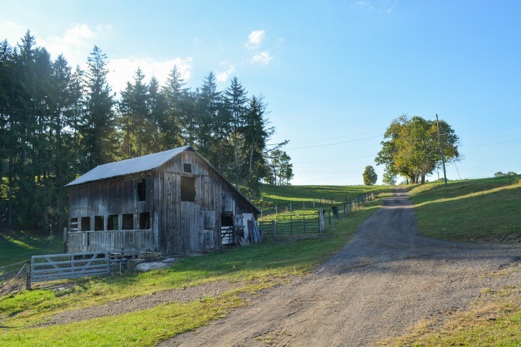The traditional charm of family farms can be found throughout the Workman compound. (Nick DeMichele/TBL)