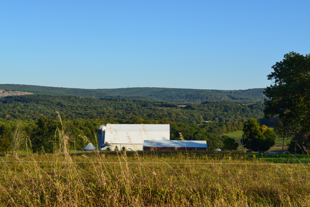 The Workman farm rises from the hills of Allegany County. (Nick DeMichele/TBL)