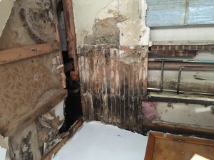 Allegedly. the roommates were told they could continue living in the home after the wall was torn down and mold was found. (Photo Credit: Jeff Franklin)