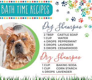 An essential oil shampoo recipe for dogs. 