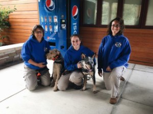 Claudia Weakland and her dog, Finn (left), Ann Frank and her dog, Bogan (middle), and Alyssa Vance (right). 