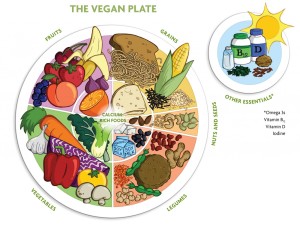 The Vegan Plate: a simple guide to a balanced Vegan lifestyle. 