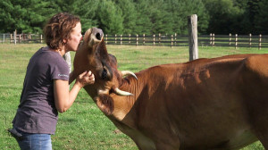 Brown kisses a cow at her sanctuary. Photo from: Jenny Brown. 