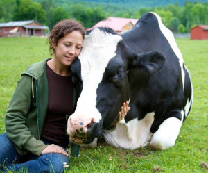 Brown cuddles up next to a rescued cow at her sanctuary. Photo from: Jenny Brown. 