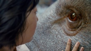 Screen capture from Okja (IMDb)