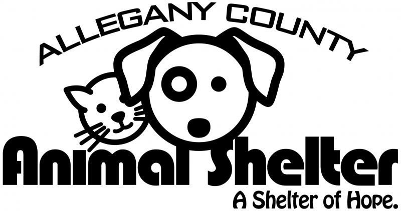 Get Outside Of Yourself: The Allegany Animal Shelter – The Bottom Line News