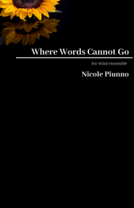 Where words cannot go (reflection 2)